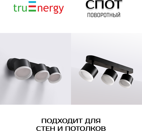 Изображение товара Спот Truenergy 21040