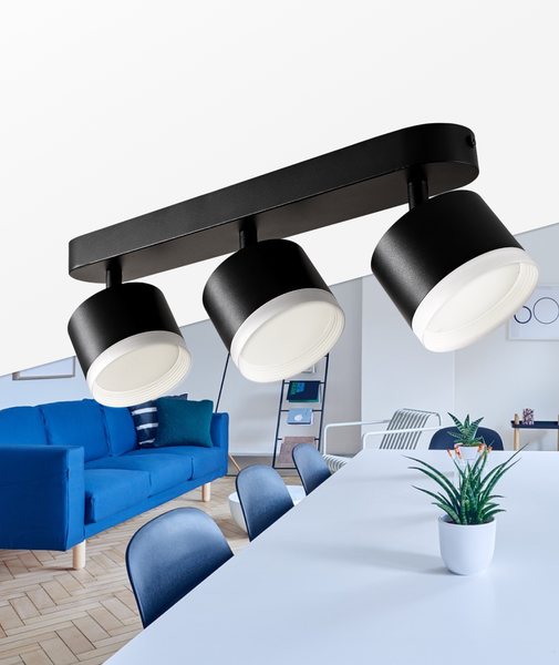 Изображение товара Спот Truenergy 21040