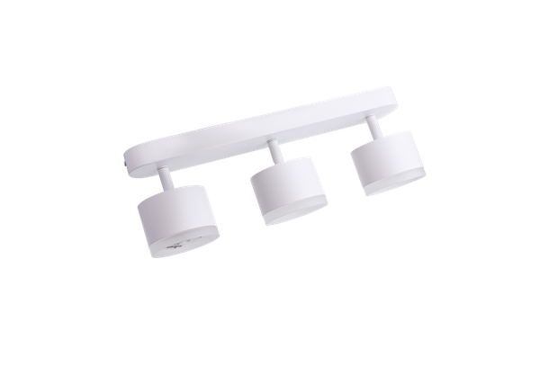 Изображение товара Спот Truenergy 21041