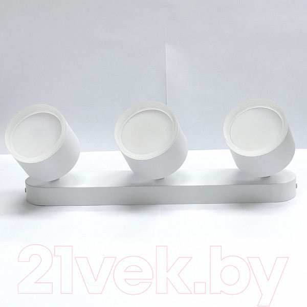 Изображение товара Спот Truenergy 21041