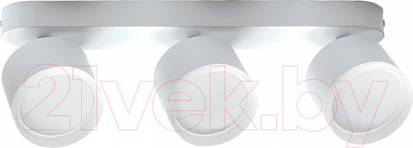 Изображение товара Спот Truenergy 21041