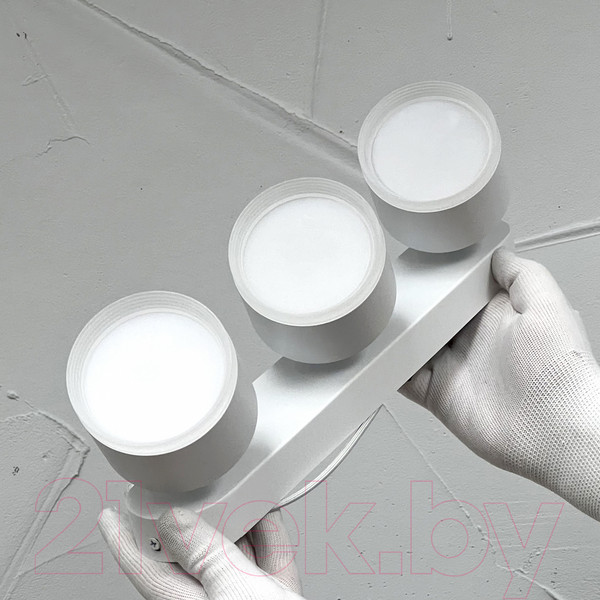 Изображение товара Спот Truenergy 21041