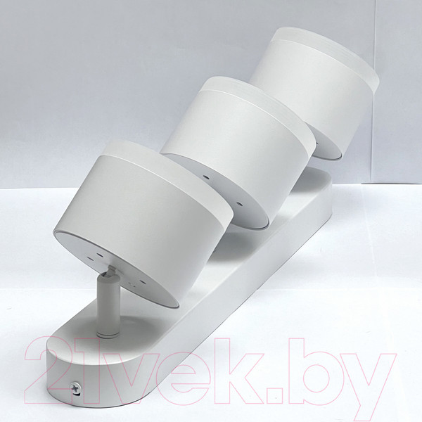 Изображение товара Спот Truenergy 21041