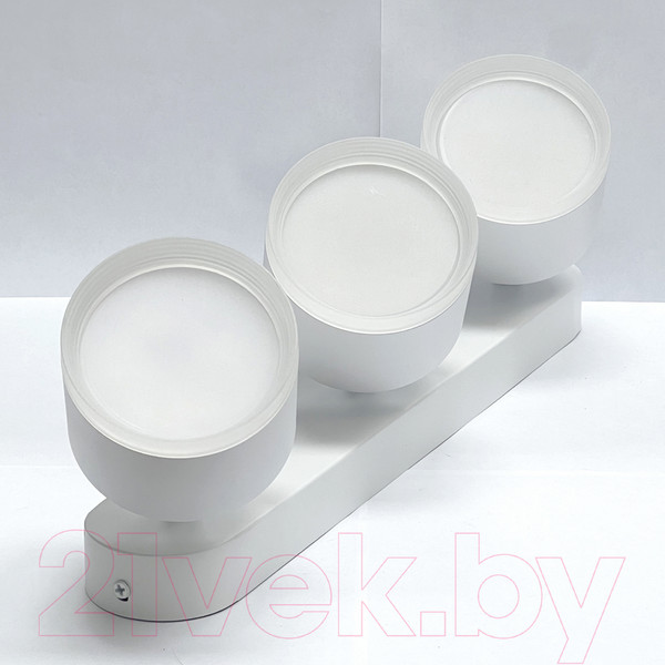 Изображение товара Спот Truenergy 21041