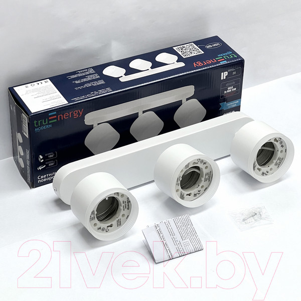 Изображение товара Спот Truenergy 21041