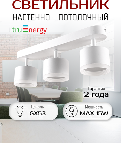 Изображение товара Спот Truenergy 21041