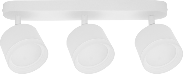 Спот Truenergy 21041