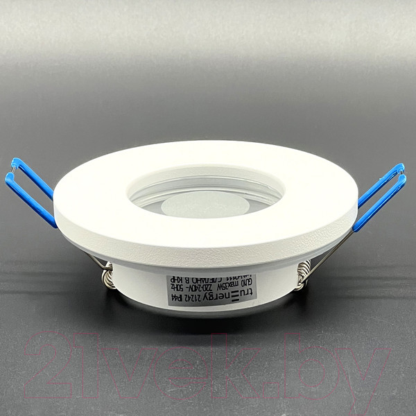 Изображение товара Точечный светильник Truenergy 21242