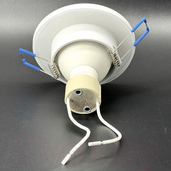 Изображение товара Точечный светильник Truenergy 21242