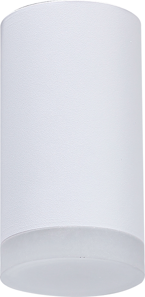 Изображение товара Точечный светильник Truenergy 21302