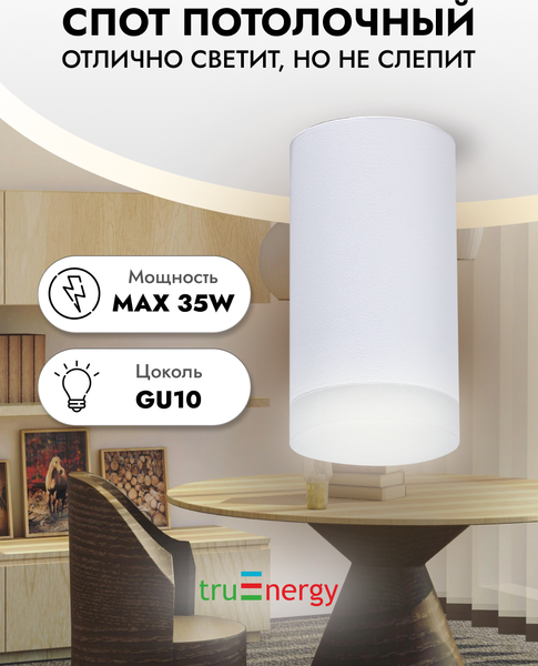 Изображение товара Точечный светильник Truenergy 21302