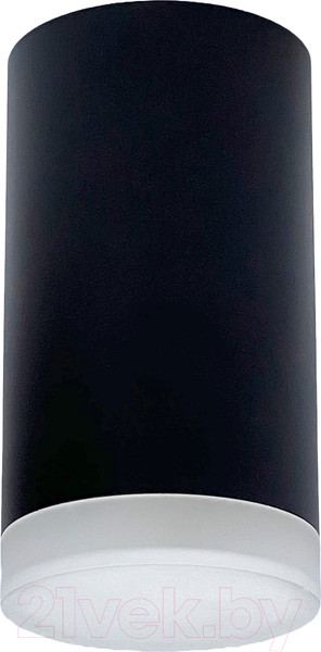 Изображение товара Точечный светильник Truenergy 21303