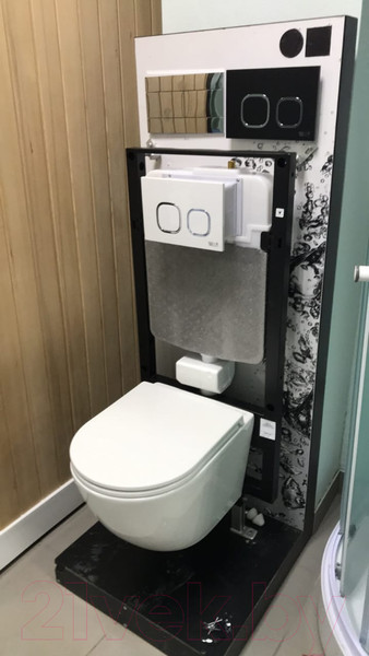 Изображение товара Унитаз подвесной с инсталляцией WeltWasser Amberg 506 + Salzbach 043 MT-BL + Amberg RD-WT