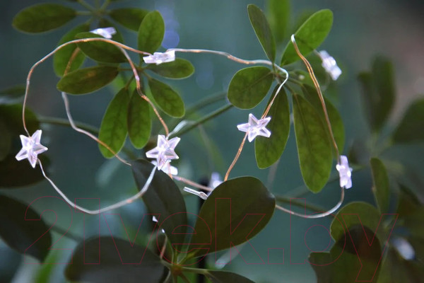 Изображение товара Светодиодная гирлянда Eglo Dew Drop 411069