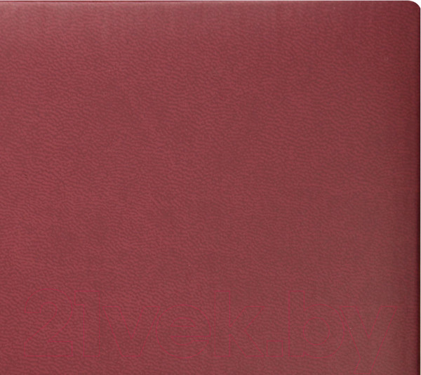 Изображение товара Ежедневник Lite Classic Matte / LTDNBL-CLMA5 (136л, бордовый)