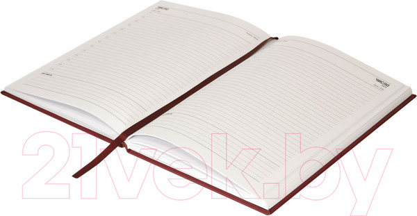 Изображение товара Ежедневник Lite Classic Matte / LTDNBL-CLMA5 (136л, бордовый)