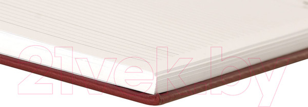 Изображение товара Ежедневник Lite Classic Matte / LTDNBL-CLMA5 (136л, бордовый)