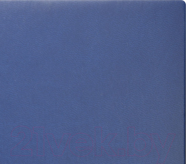 Изображение товара Ежедневник Lite Classic Matte / LTDNBL-CLMA5 (136л, синий)