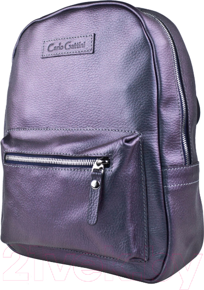 Изображение товара Рюкзак Carlo Gattini Premium Anzolla 3040-57 (северное сияние)