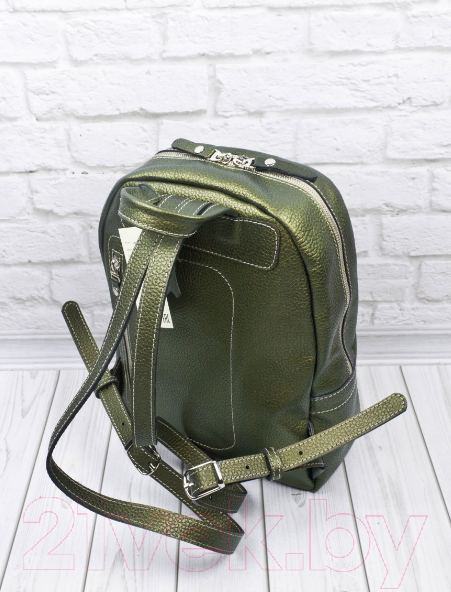 Изображение товара Рюкзак Carlo Gattini Premium Anzolla 3040-59 (золотой киви)