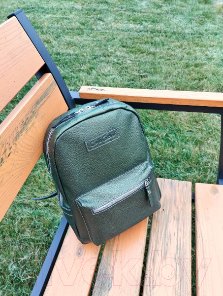 Изображение товара Рюкзак Carlo Gattini Premium Anzolla 3040-59 (золотой киви)