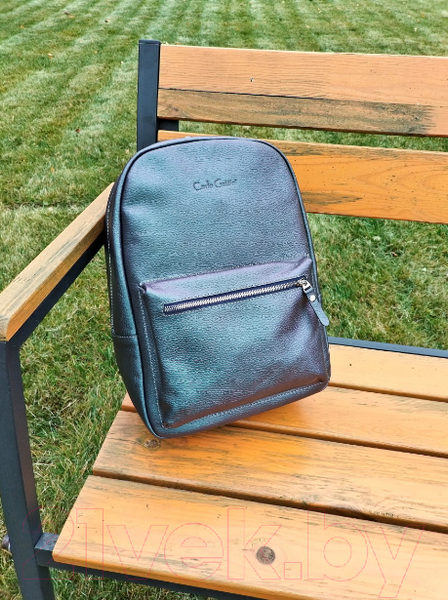 Изображение товара Рюкзак Carlo Gattini Premium Albiate 3103-57 (северное сияние)