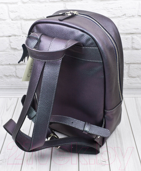 Изображение товара Рюкзак Carlo Gattini Premium Albiate 3103-57 (северное сияние)