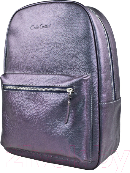 Изображение товара Рюкзак Carlo Gattini Premium Albiate 3103-57 (северное сияние)