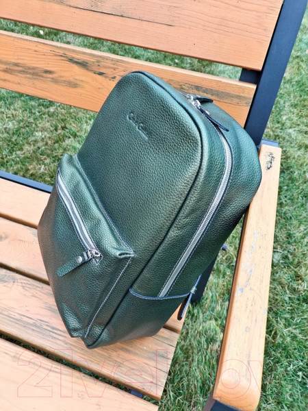 Изображение товара Рюкзак Carlo Gattini Premium Albiate 3103-59 (золотой киви)