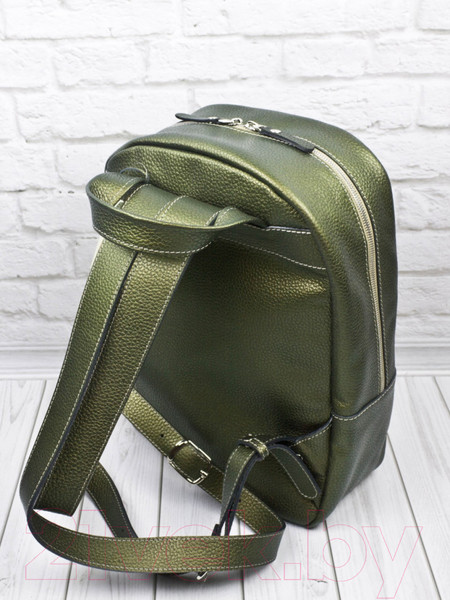 Изображение товара Рюкзак Carlo Gattini Premium Albiate 3103-59 (золотой киви)