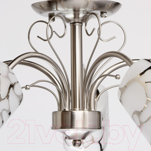 Изображение товара Люстра MW light Олимпия 261019505