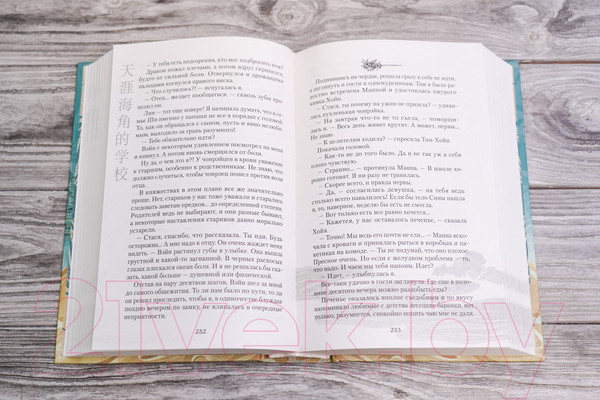 Изображение товара Книга АСТ Школа на краю света / 9785171573898 (Архарова Ю.А.)