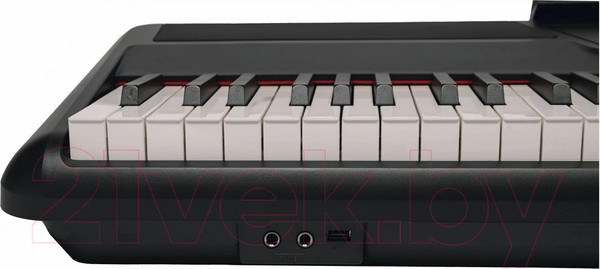 Изображение товара Цифровое фортепиано Aramius API-130 MBK