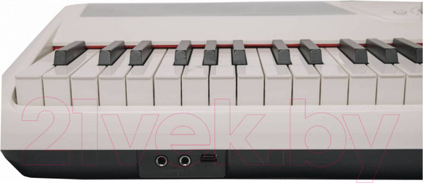 Изображение товара Цифровое фортепиано Aramius API-130 MWH