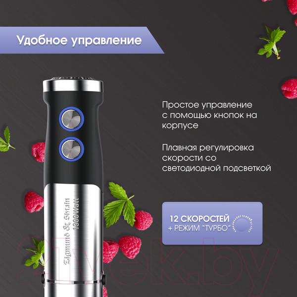 Изображение товара Блендер погружной Zigmund & Shtain BH-350 M