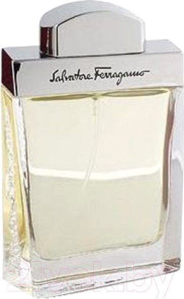 Изображение товара Туалетная вода Salvatore Ferragamo Salvatore Ferragamo Pour Homme (100мл)