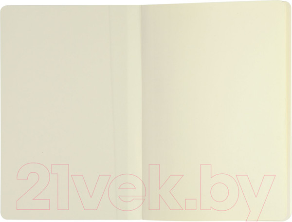 Изображение товара Ежедневник Lorex Graphite / LXDRA5-GPH (96л, черный)