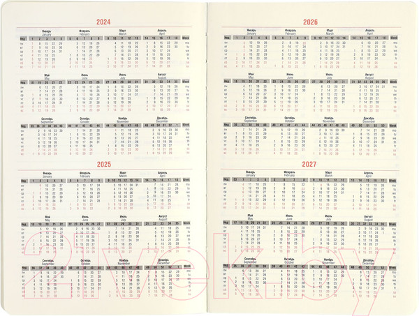 Изображение товара Ежедневник Lorex Graphite / LXDRA5-GPH (96л, черный)
