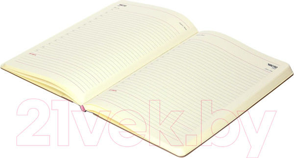 Изображение товара Ежедневник Lorex Graphite / LXDRA5-GPH (96л, черный)