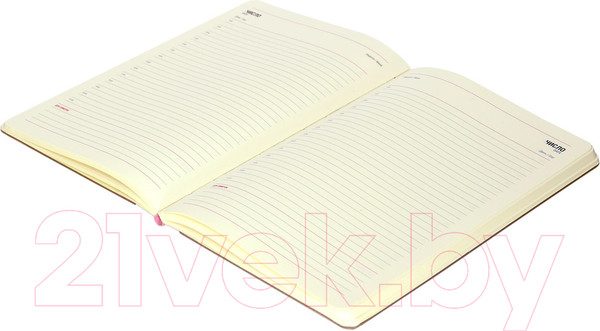 Изображение товара Ежедневник Lorex Joy / LXDRA5-JY (96л, розовый)