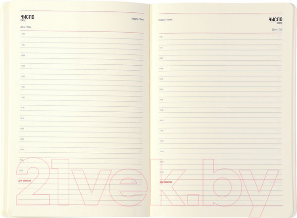 Изображение товара Ежедневник Lorex Start Simple / LXDRA5-SS (96л, черный)