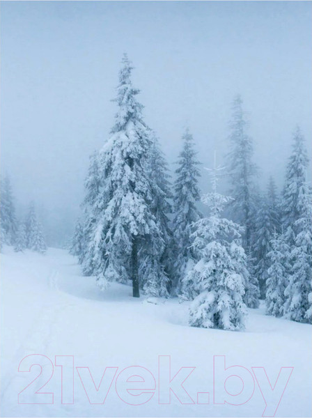 Изображение товара Картина Woodary 3000 (40x50)
