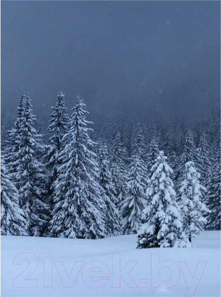 Изображение товара Картина Woodary 3001 (40x50)