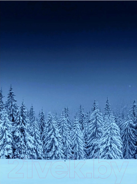 Изображение товара Картина Woodary 3003 (40x50)