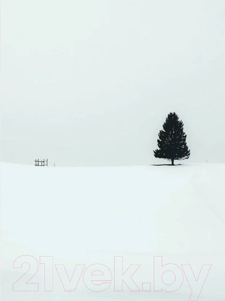 Изображение товара Картина Woodary 3006 (40x50)