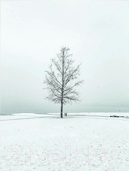 Изображение товара Картина Woodary 3007 (40x50)