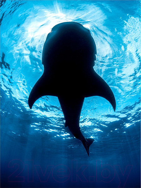 Изображение товара Картина Woodary 3020 (40x50)