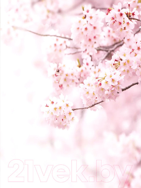 Изображение товара Картина Woodary 3031 (40x50)