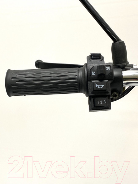 Изображение товара Электровелосипед Green Camel Транк 20 V8 PRO 60V 2х подвес (серебристый)