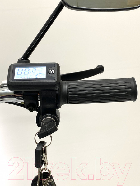 Изображение товара Электровелосипед Green Camel Транк 20 V8 PRO 60V 2х подвес (серебристый)